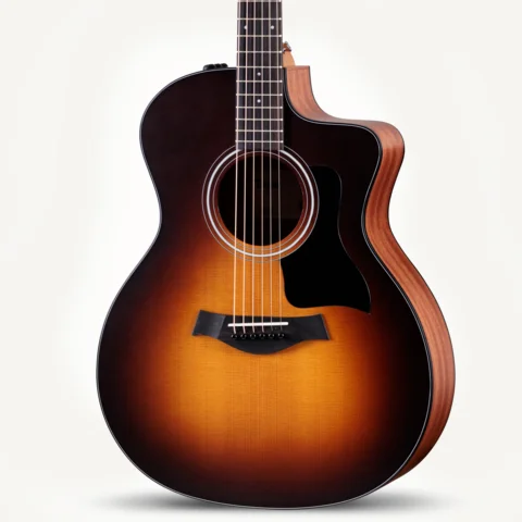 6-String Acoustic & Electric Guitars - Steel String | Taylor Guitars